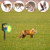 Solar Ultrasonic Animal Repeller with Flame Light USB Charge Motion Sensor Animal Repellent Chaser IP55 Waterproof Dog Raccoon Fox Skunk