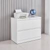 2 Drawer Lateral Filing Cabinet for Legal/Letter A4 Size, Large Deep Drawers Locked by Keys, Locking Wide File Cabinet for Home Office, Metal Steel