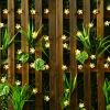 Fairy Blossom Flower Solar Garden String Lights